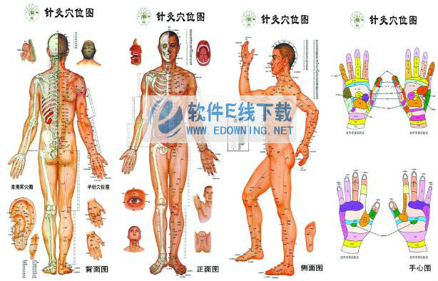 ��ҽѨλͼע���