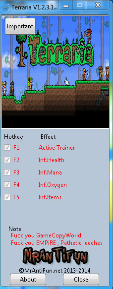 泰拉瑞亚无限修改器