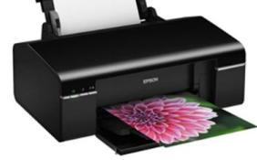 ������Epson Stylus Photo P50 ��ӡ������