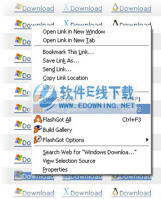 FlashGot for Firefox