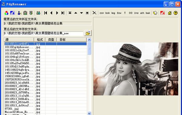PdgRenamer(PDG�ļ���������)