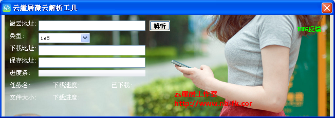 云崖居微云解析工具