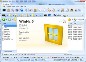 WinNc �ļ�������