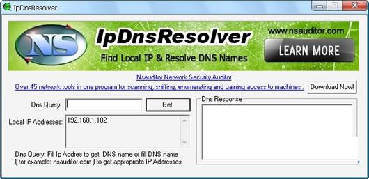 IpDnsResolver