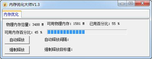 �ڴ��Ż���ʦ