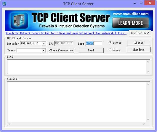 TCP Client Server