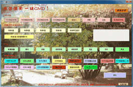 一键CMD(一键运行常用cmd命令)
