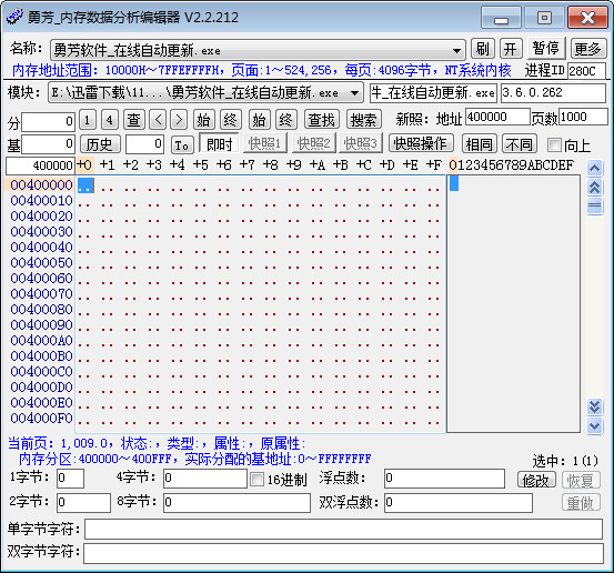 勇芳内存数据分析编辑器