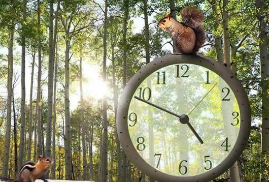 小松鼠时钟电脑屏保