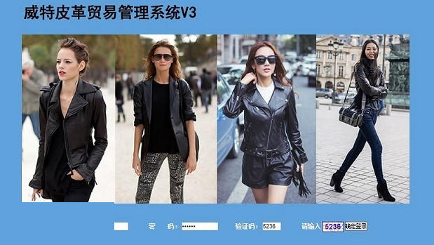 威特皮革贸易系统