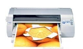 ������Epson Stylus Color 1520K ��ӡ������