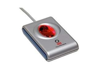 �п�ָ������������