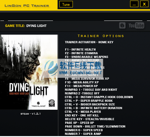 ���ŵĹ�â�޸���+26