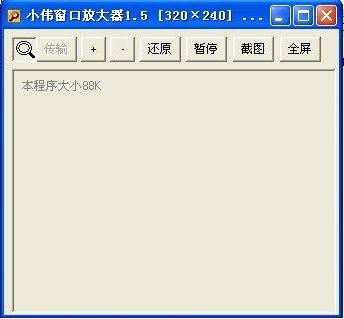小伟视频窗口放大器