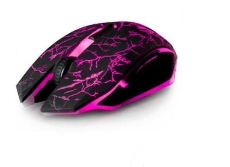 ��ʥһ��x8�������