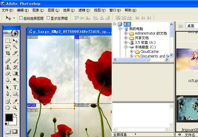 Adobe PhotoShop V6.0 