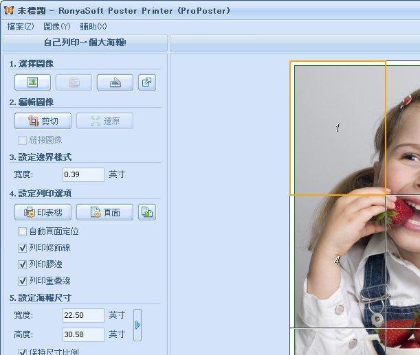 RonyaSoft Poster Printer