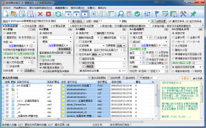 菲菲更名宝贝之得意非凡
