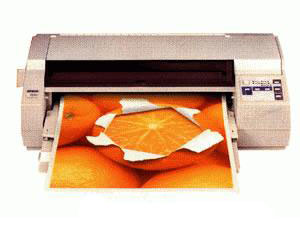 Epson Stylus Color 400��ӡ������