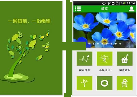 �й���ľ��