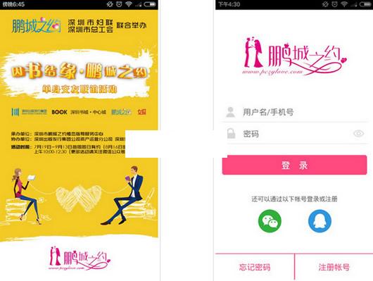 鹏城之约安卓版