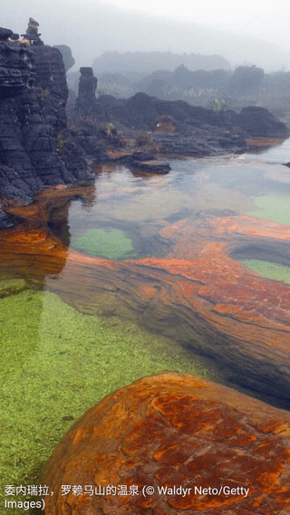 每日题图安卓版