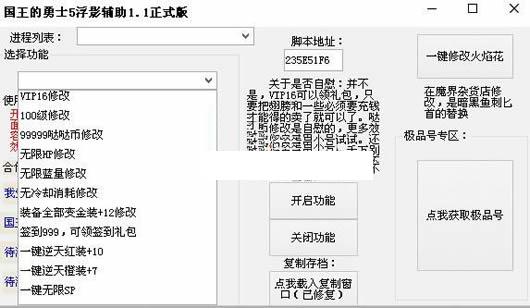 浮影国王的勇士5辅助修改器