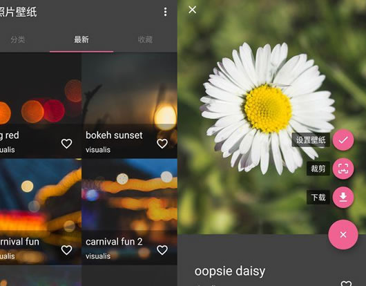 ��Ƭ��ֽרҵ��