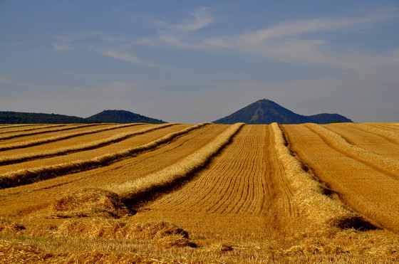 远处的山峦与收割后的麦田高清图片素材