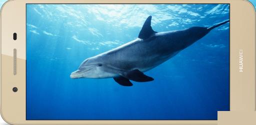 华为畅享5s手机驱动