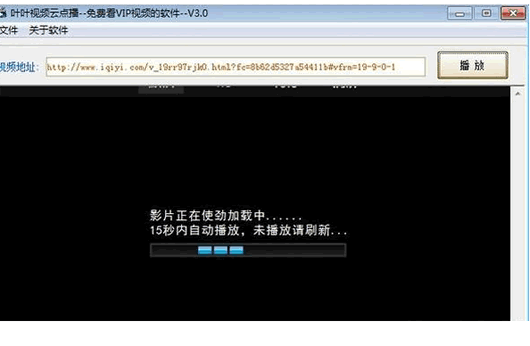 叶叶VIP视频播放器
