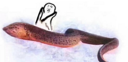 ����qq��������������