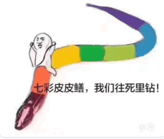 皮皮鳝快钻表情包