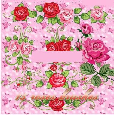 õ�廨װ�α�ˢ