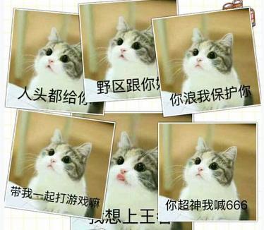 王者求带表情包