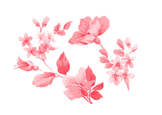 photoshop�����ˢ���