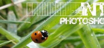 Photoshop�񻯶������