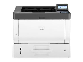 ����Ricoh P 501 ��ӡ������