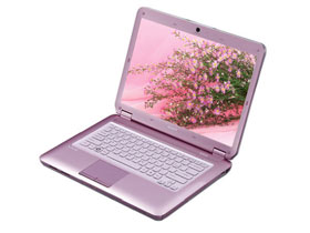 VGN-SR3X ��������