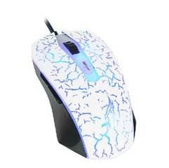 ����ȫ��ӥ�������